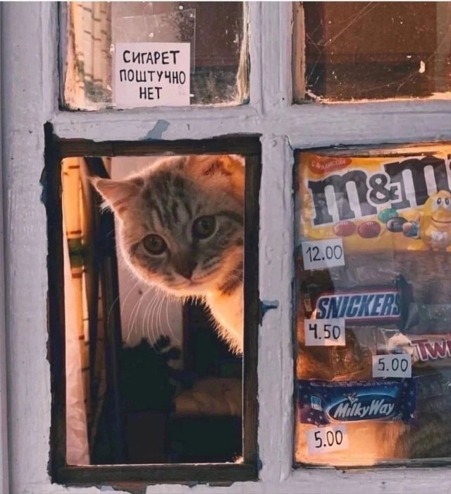 ... , ,   , , , , , ,   , ,  ,  ,  , , -,   , 
