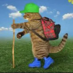 chainick.cc