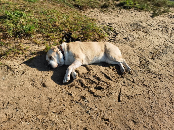 режим подзарядки включен
