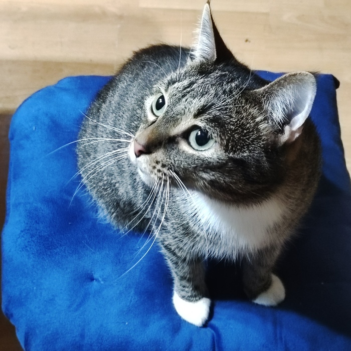 Табуретка занята - можешь на полу посидеть!