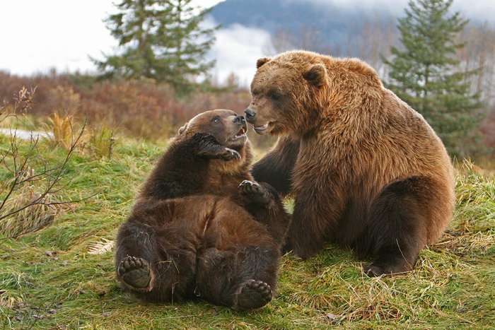  ,       ?  ,   !  ,  !