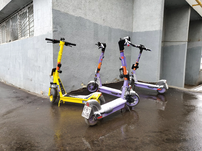 Снимки на основную камеру с зумом 1×