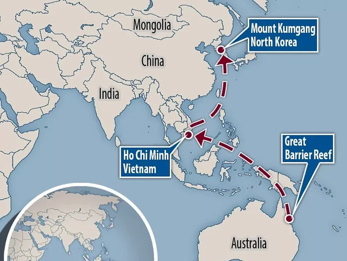 Как первый в мире плавучий отель оказался никому не нужным Длиннопост, Отель, Fail, Австралия, Казино, Плавучий дом, Северная Корея