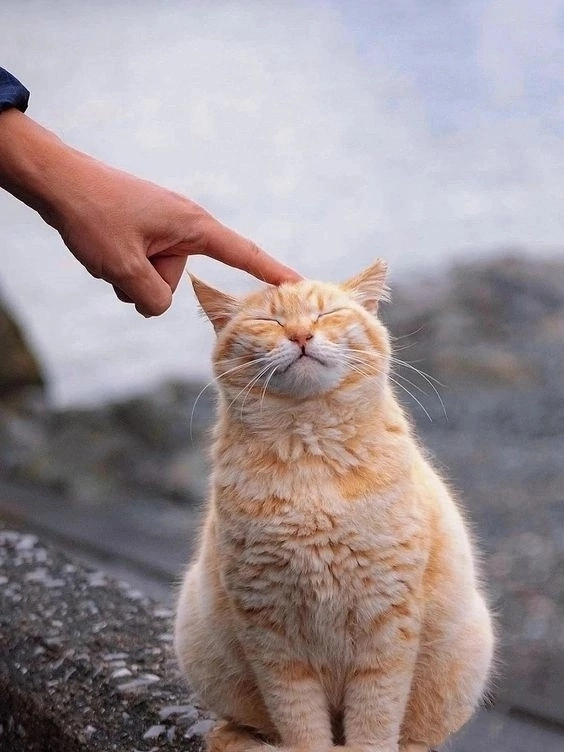 ! , , , ,  , Instagram (), 