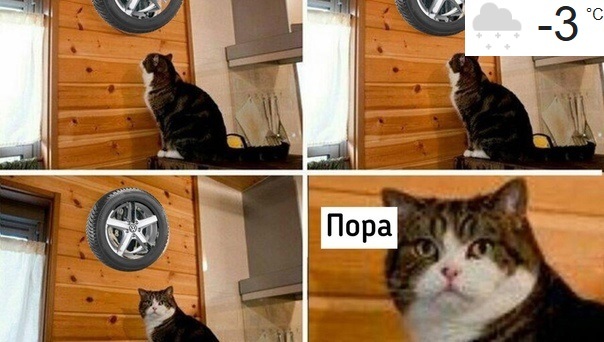 6  ,   , , , , , 