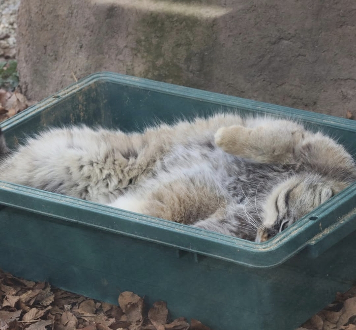 В излюбленном местечке