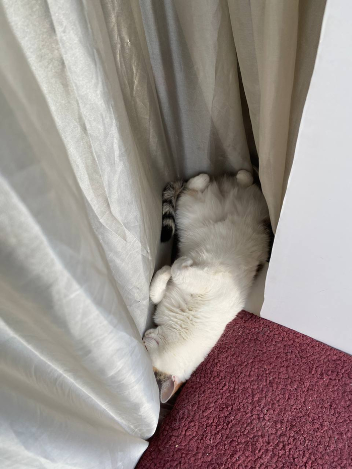  ,   ,  , ,  , , -, , ,    , , 
