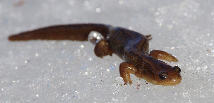       :  .       .   ,     90 !