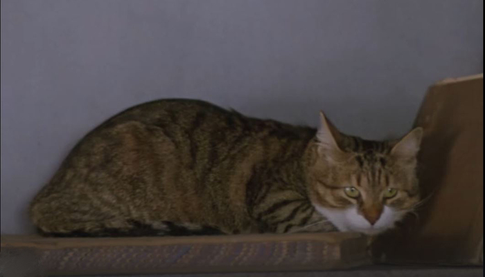 ����� �������� ���...