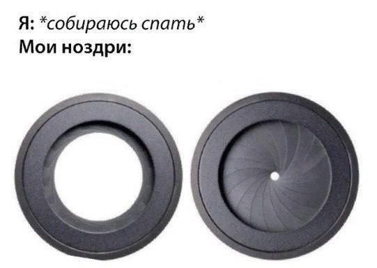 Ноздри ночью