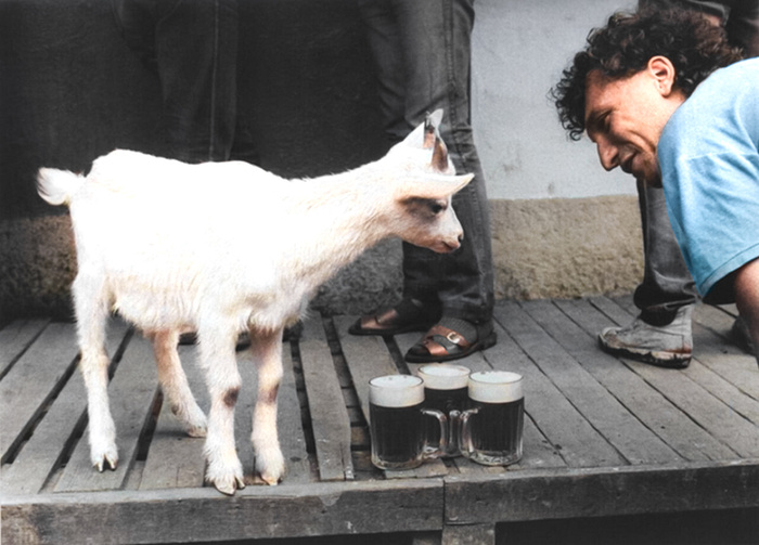 ��������: ��������� �������