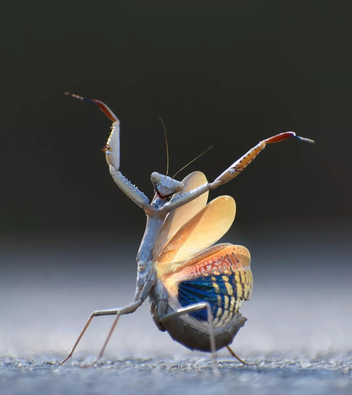  , , , 