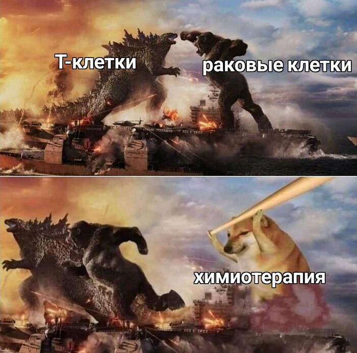     ,  -   