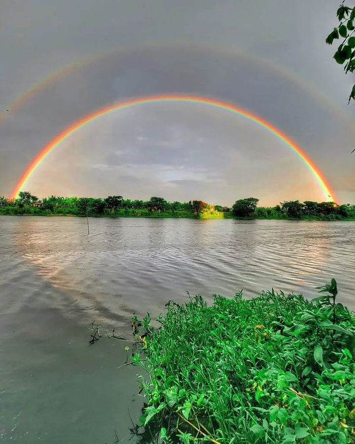 Rainbow , 