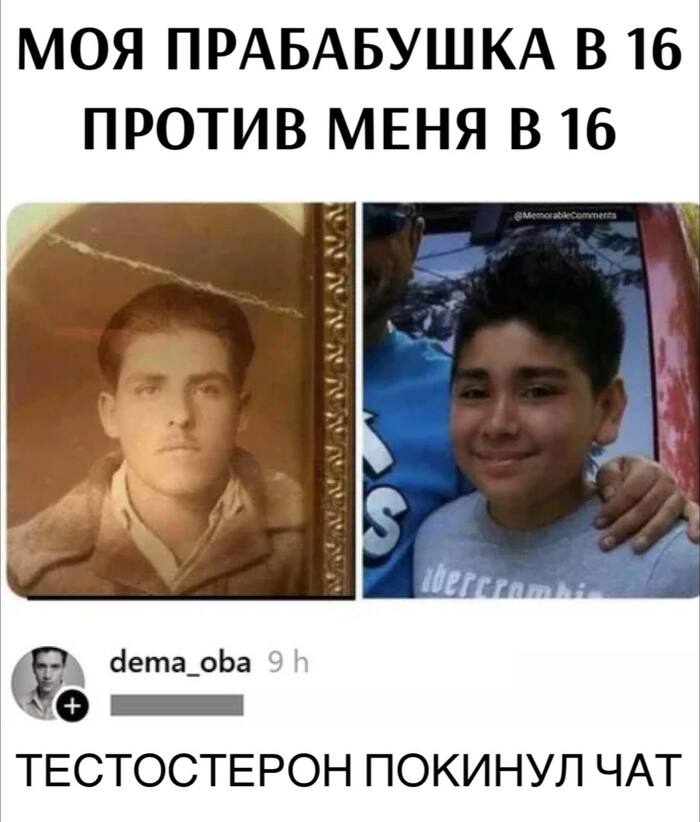    ,   , , , , Telegram ()