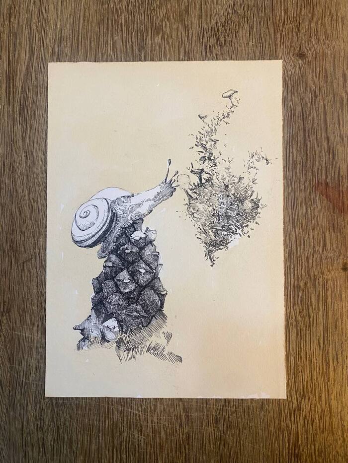  , , , , , 