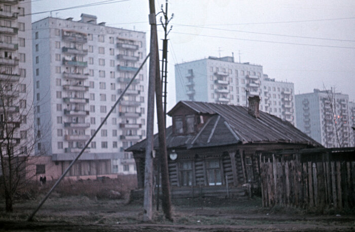 автор фото - Стриженов М.Б.