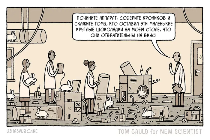 <a href="https://pikabu.ru/story/shokoladki_12588985?u=https%3A%2F%2Fwww.newscientist.com%2Farticle%2F2264782-tom-gauld-on-a-suspicious-set-of-round-chocolates%2F&t=%D0%9E%D1%80%D0%B8%D0%B3%D0%B8%D0%BD%D0%B0%D0%BB&h=ee5b4c4581f0e4b327c0fa4f24e528a18f9ec6cb" title="https://www.newscientist.com/article/2264782-tom-gauld-on-a-suspicious-set-of-round-chocolates/" target="_blank" rel="nofollow noopener"></a> <a href="https://pikabu.ru/story/shokoladki_12588985?u=https%3A%2F%2Ft.me%2Fuzhasvubo4ke&t=%D0%9F%D0%B5%D1%80%D0%B5%D0%B2%D0%BE%D0%B4%D1%8B&h=4e72d063159c919d570ceb2fe8846eae6874d1d4" title="https://t.me/uzhasvubo4ke" target="_blank" rel="nofollow noopener"></a>