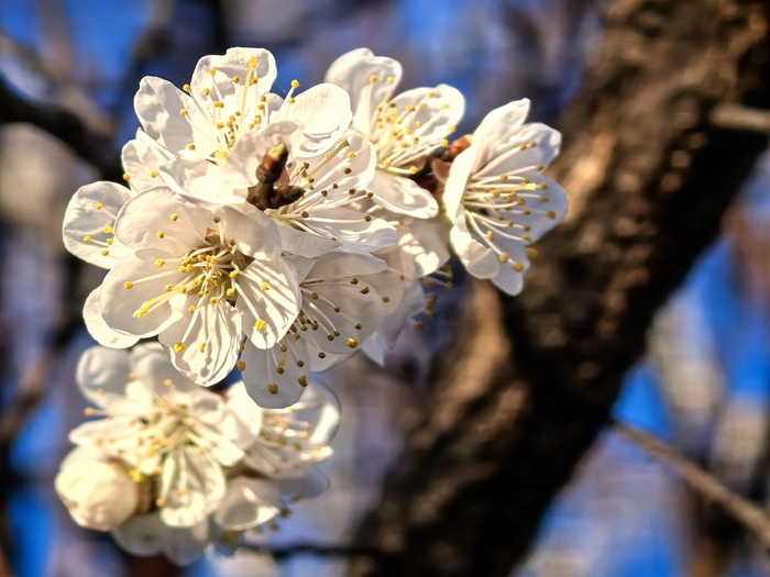 ��� ����������. �����