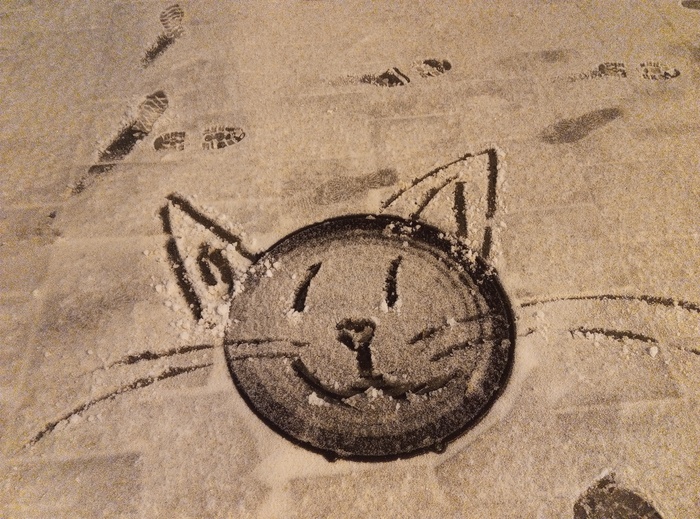 Снежный кот в апреле