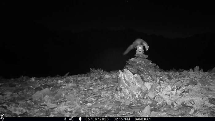     ,   ,    .    ,        .