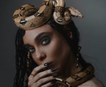 ������ �� ��������