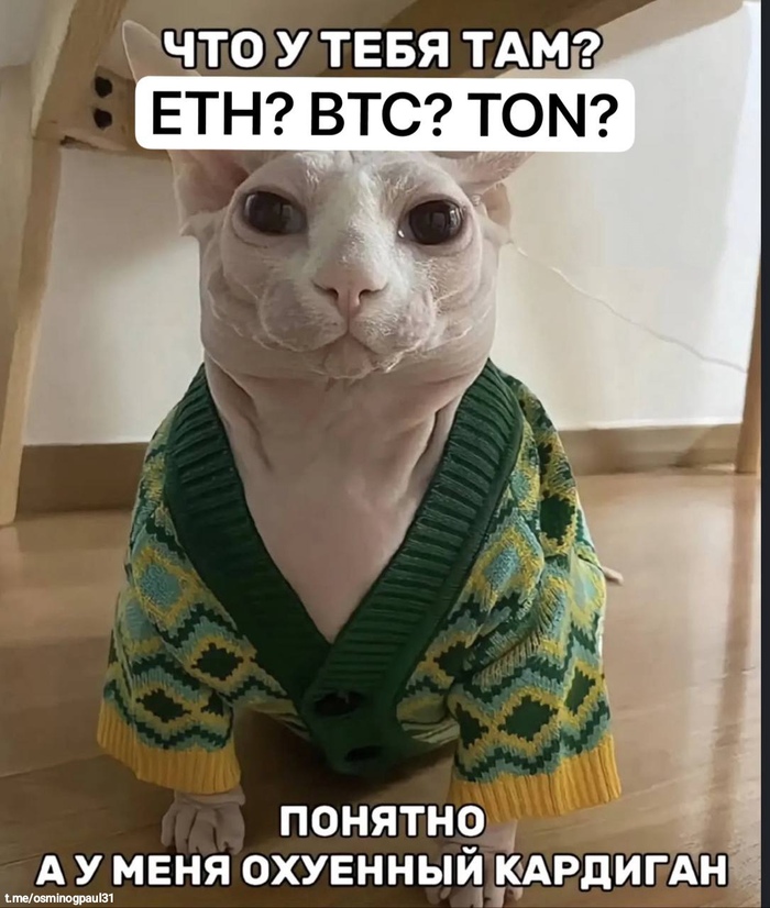    ? ,   , , IT , , , Telegram (), 