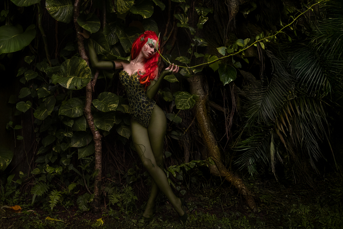 Poison Ivy (Batman and Robin 1997 cosplay) by Nancy Novikova , , , , ,  ,  , , ,   , DC Comics, 