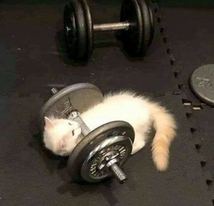 Секретные секреты похудения