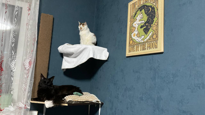 Не знаю, насколько они понимают, что они изображены на картине