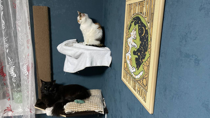 Но хоть полки их устраивают!