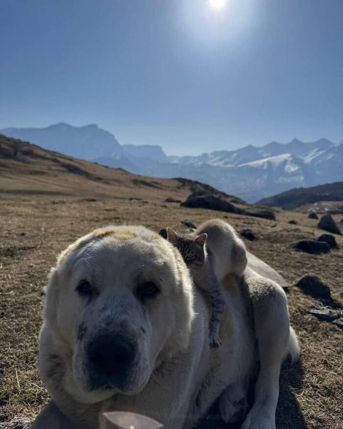 �������� ������