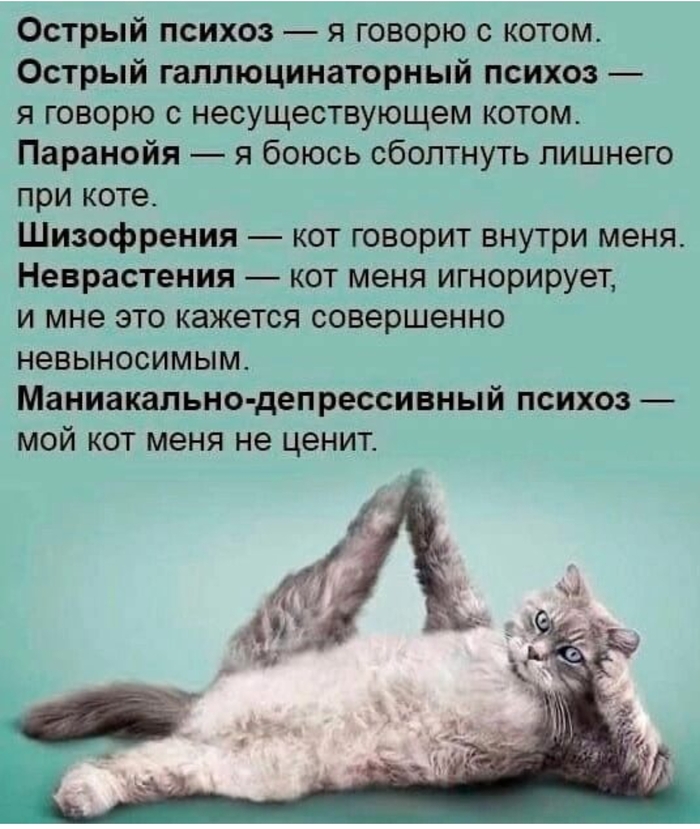          ? ,  , , , , , , , ,   ,  ,  , , ,  ()