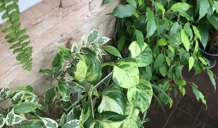 :     ,  , , , , , 