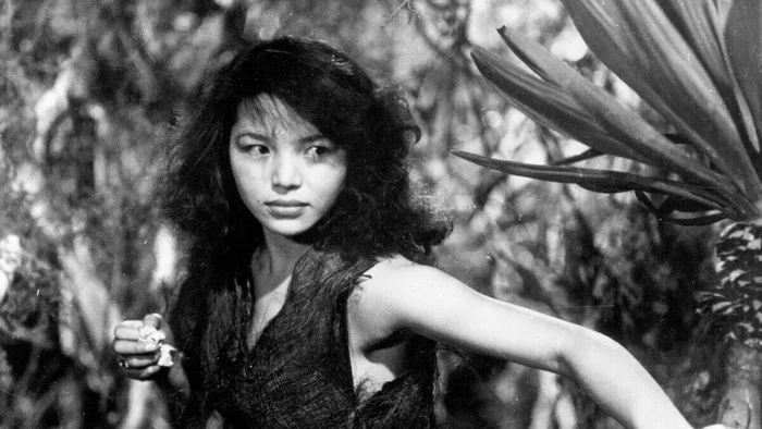 Общая жена Япония, Вторая мировая война, 20 век, Военная история, Женщины, Мужчины и женщины, Робинзонада, Отношения, Длиннопост Общая жена Япония, Вторая мировая война, 20 век, Военная история, Женщины, Мужчины и женщины, Робинзонада, Отношения, Длиннопост