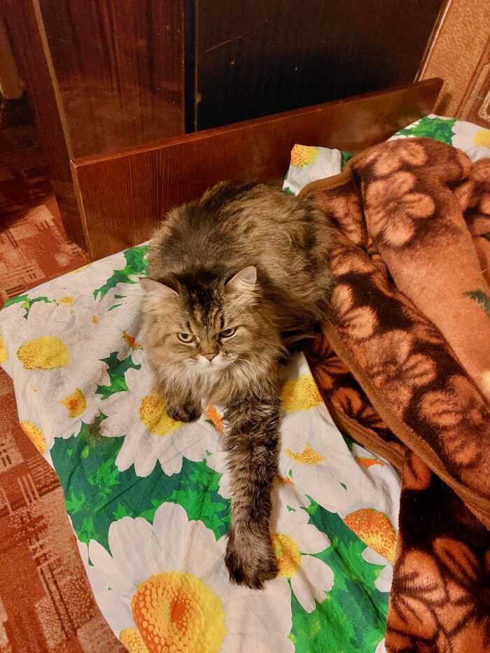  , 15 ,  , , , , 