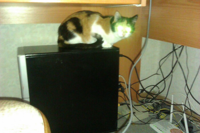 ������� �����