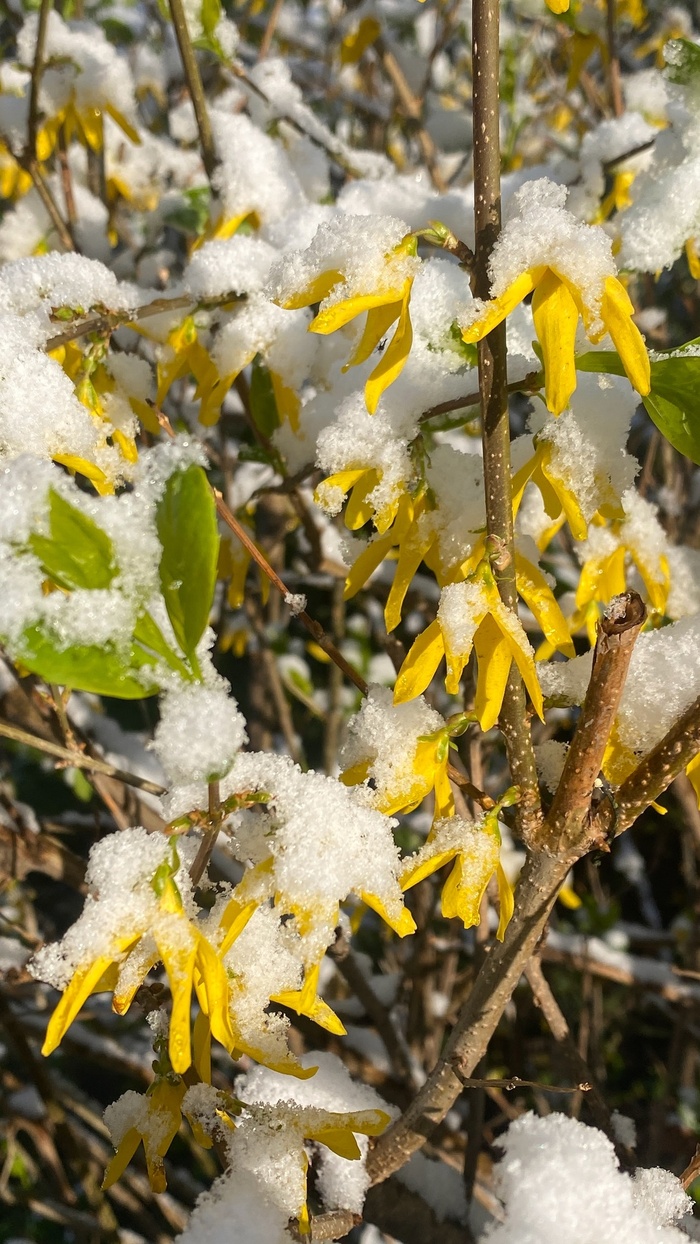 Фото В. Лузанова.