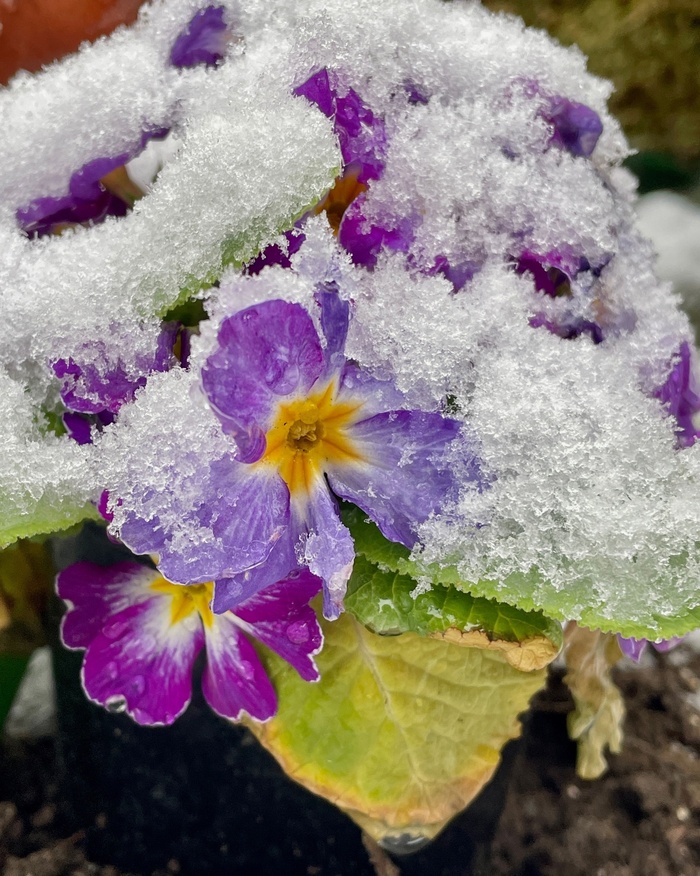 Фото А. Хмель.
