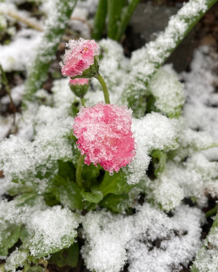 Фото А. Хмель.