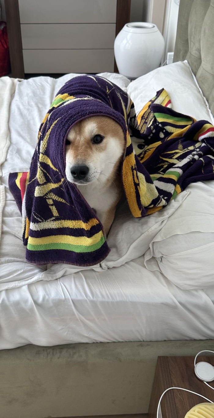 Все вопросы по грамматике к нему )