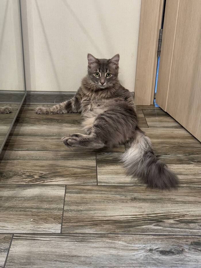 ���� ������ �����