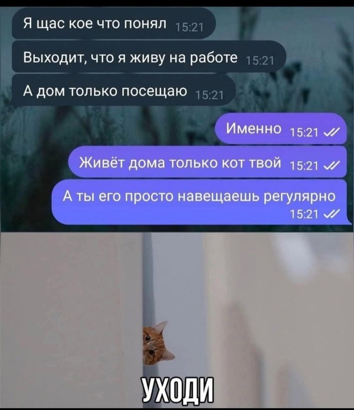    !   , , , , , 