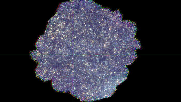 &quot; &quot;       !