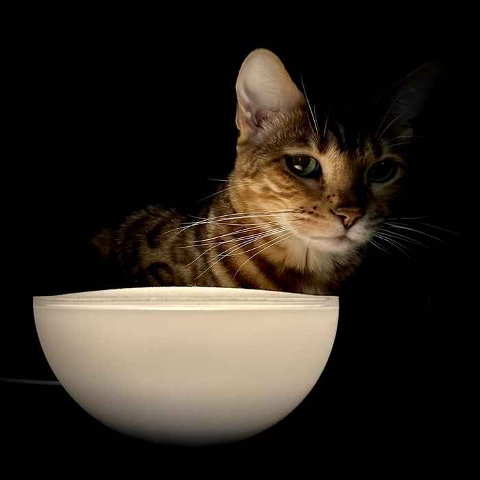 ����� ���� ��� ������������ �������