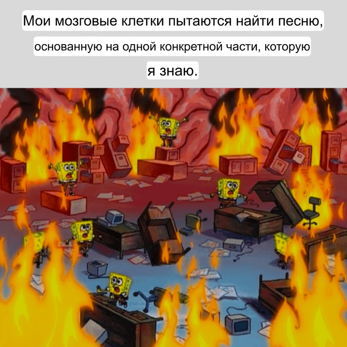  ,   ,    ,    , , Telegram, Telegram (),   ,  ,   ()