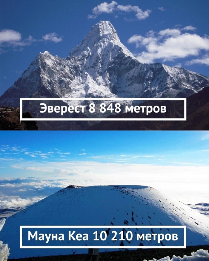   , , , ,  -, Telegram ()
