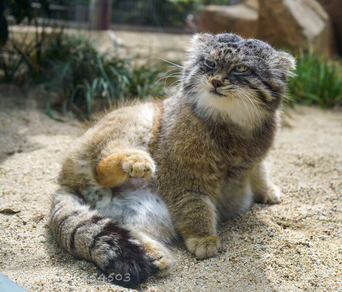 Пятница говорите? Несите праздничный завтрак тогда!