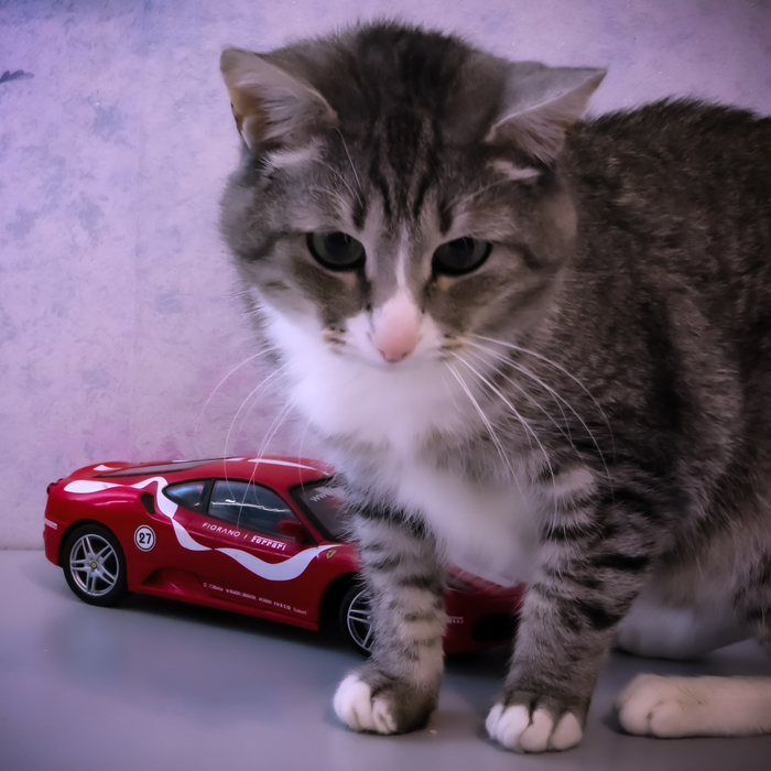 ������ �� ���� �����������