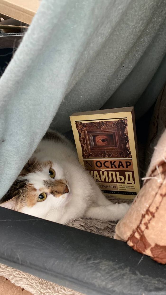 Подшматривает